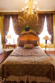 Birmingham Tree House