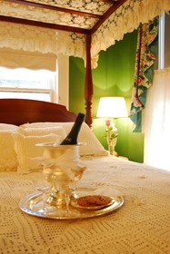 Birmingham Tree House