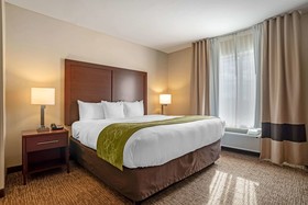 Comfort Suites Foley - North Gulf Shores