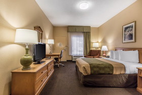 Econo Lodge Inn & Suites Foley