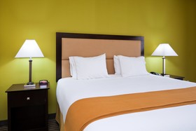 Holiday Inn Express Hotel & Suites Greenville