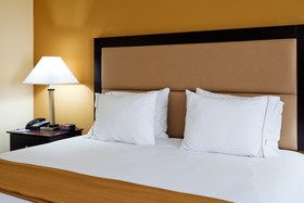 Holiday Inn Express Hotel & Suites Greenville