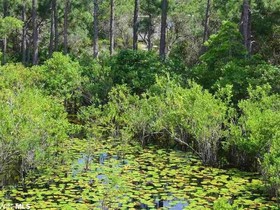 Cabana Beach Estate by Meyer Vacation Rentals