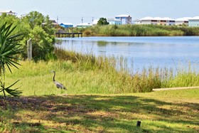 Compass Point by Youngs Suncoast