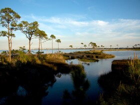 Compass Point Condominium