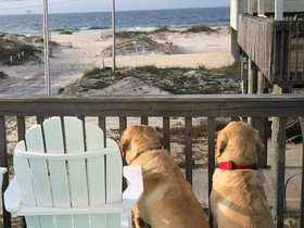 Dream Catcher by Youngs Suncoast