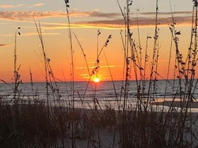 Dream Catcher by Youngs Suncoast