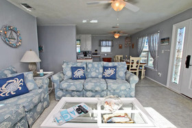 Dream Catcher by Youngs Suncoast