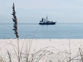 Dream Catcher by Youngs Suncoast