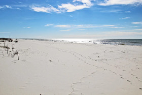 Gulf Shores Plantation by Youngs Suncoast