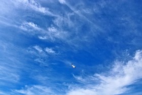 Marilyns Cottage by Youngs Suncoast