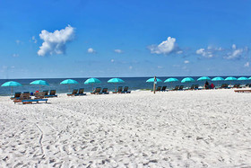 Ocean Reef by Youngs Suncoast