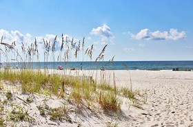 Ocean Reef by Youngs Suncoast