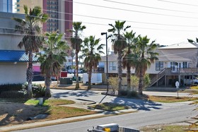 Sea Walley by Youngs Suncoast