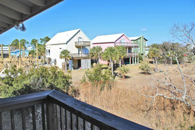 Sea Walley by Youngs Suncoast