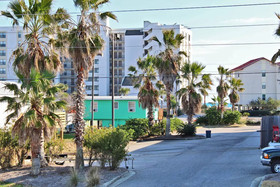 Sea Walley by Youngs Suncoast