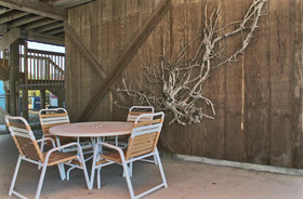 Sea Walley by Youngs Suncoast