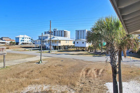 Sea Walley by Youngs Suncoast