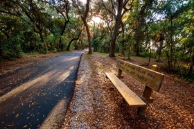 The Cabins At Gulf State Park