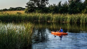 The Cabins At Gulf State Park