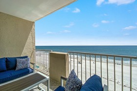 Tropical Winds by ALBVR