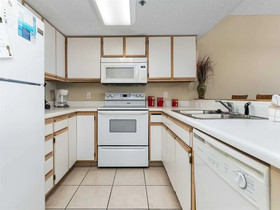 Tropical Winds by Vacasa