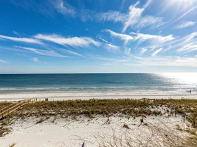 Tropical Winds by Vacasa