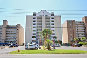 Tropical Winds by Youngs Suncoast