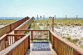 Tropical Winds by Youngs Suncoast