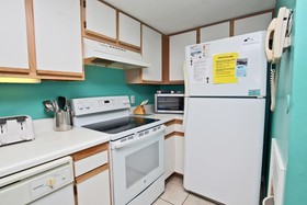 Tropical Winds by Youngs Suncoast