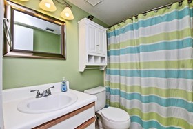 Tropical Winds by Youngs Suncoast