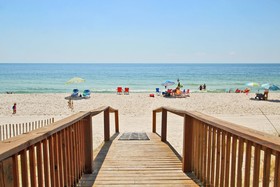 Tropical Winds by Youngs Suncoast