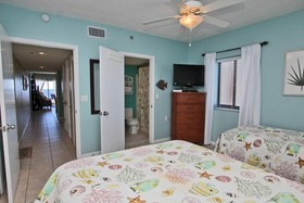 Tropical Winds by Youngs Suncoast