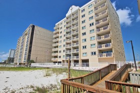 Tropical Winds by Youngs Suncoast