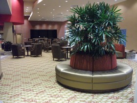 Embassy Suites Birmingham - Hoover