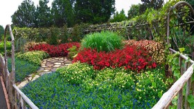 Sonesta Simply Suites Huntsville Research Park