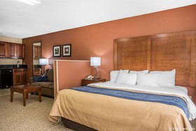 Comfort Inn Livingston