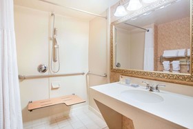 Holiday Inn Express & Suites - Mobile - I-65, an IHG Hotel