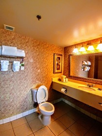 Holiday Inn Express & Suites - Mobile - I-65, an IHG Hotel