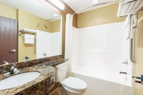 Microtel Inn & Suites by Wyndham Montgomery