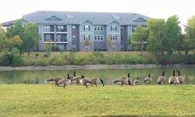 Wingate by Wyndham Montgomery