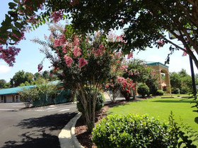 Budget Inn Northport