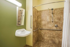 Microtel Inn & Suites by Wyndham Opelika