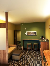 Microtel Inn & Suites by Wyndham Opelika
