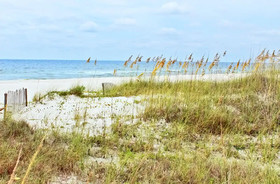 Broadmoor by RedAwning