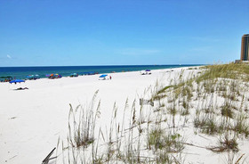 Hammock Dunes A by Youngs Suncoast