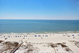 Phoenix East by Youngs Suncoast