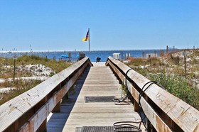 Phoenix East by Youngs Suncoast