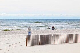 Seascape by Youngs Suncoast