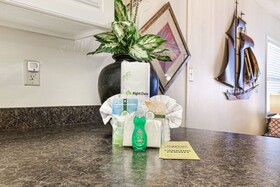 SunSwept by Hosteeva